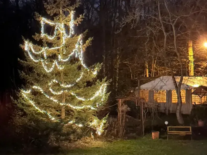 choinka z lampkami nocą